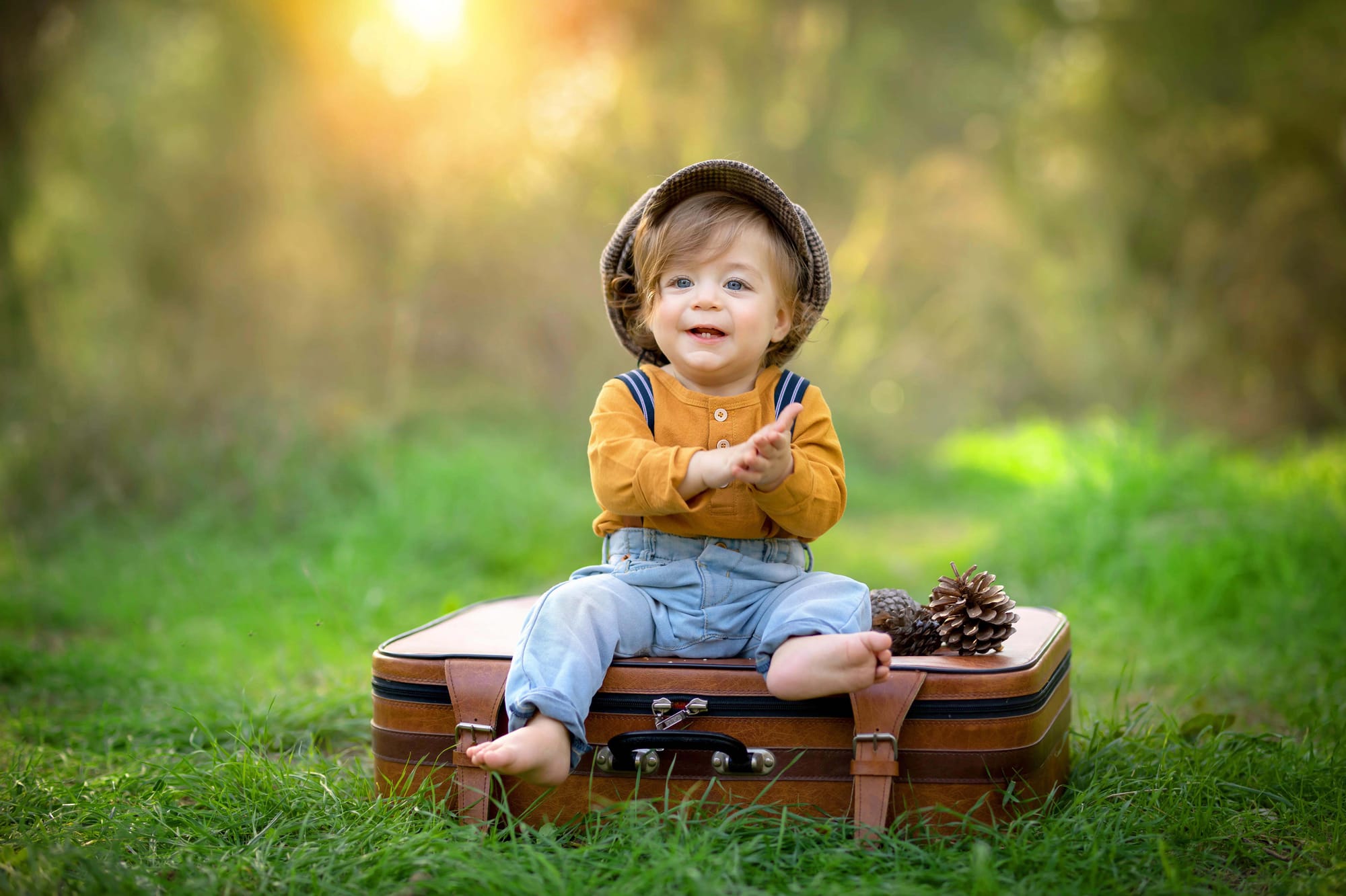 פרטי החבילה