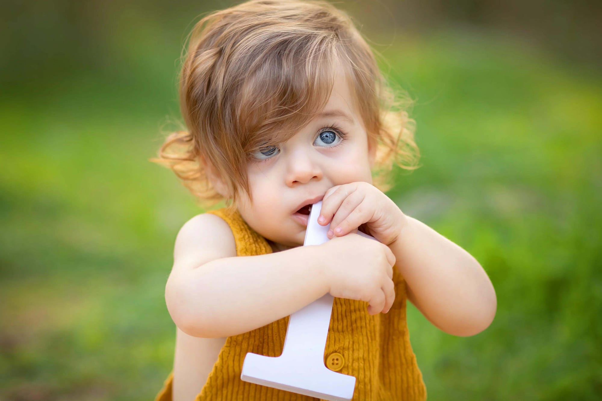 פרטי החבילה