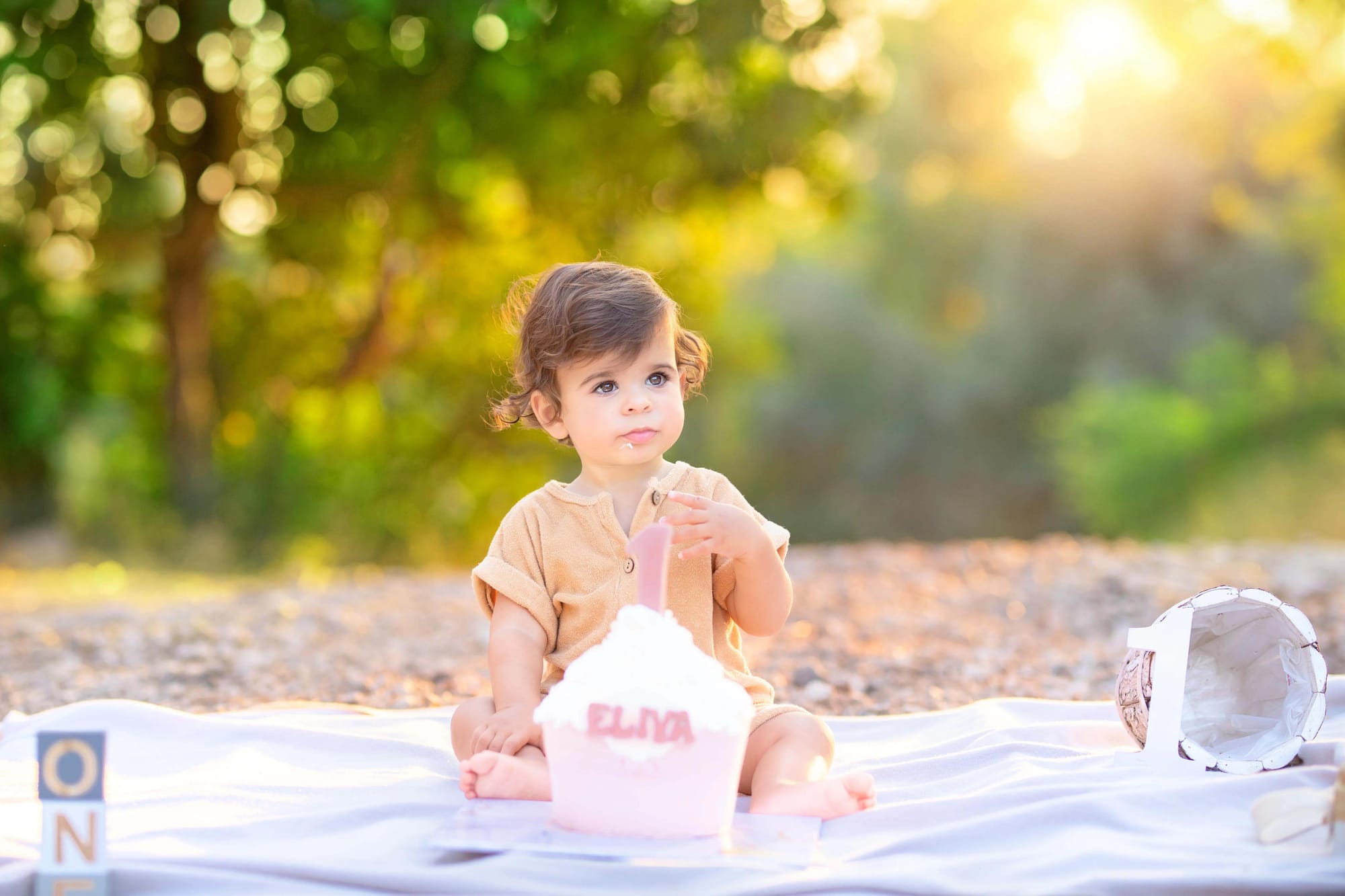 פרטי החבילה
