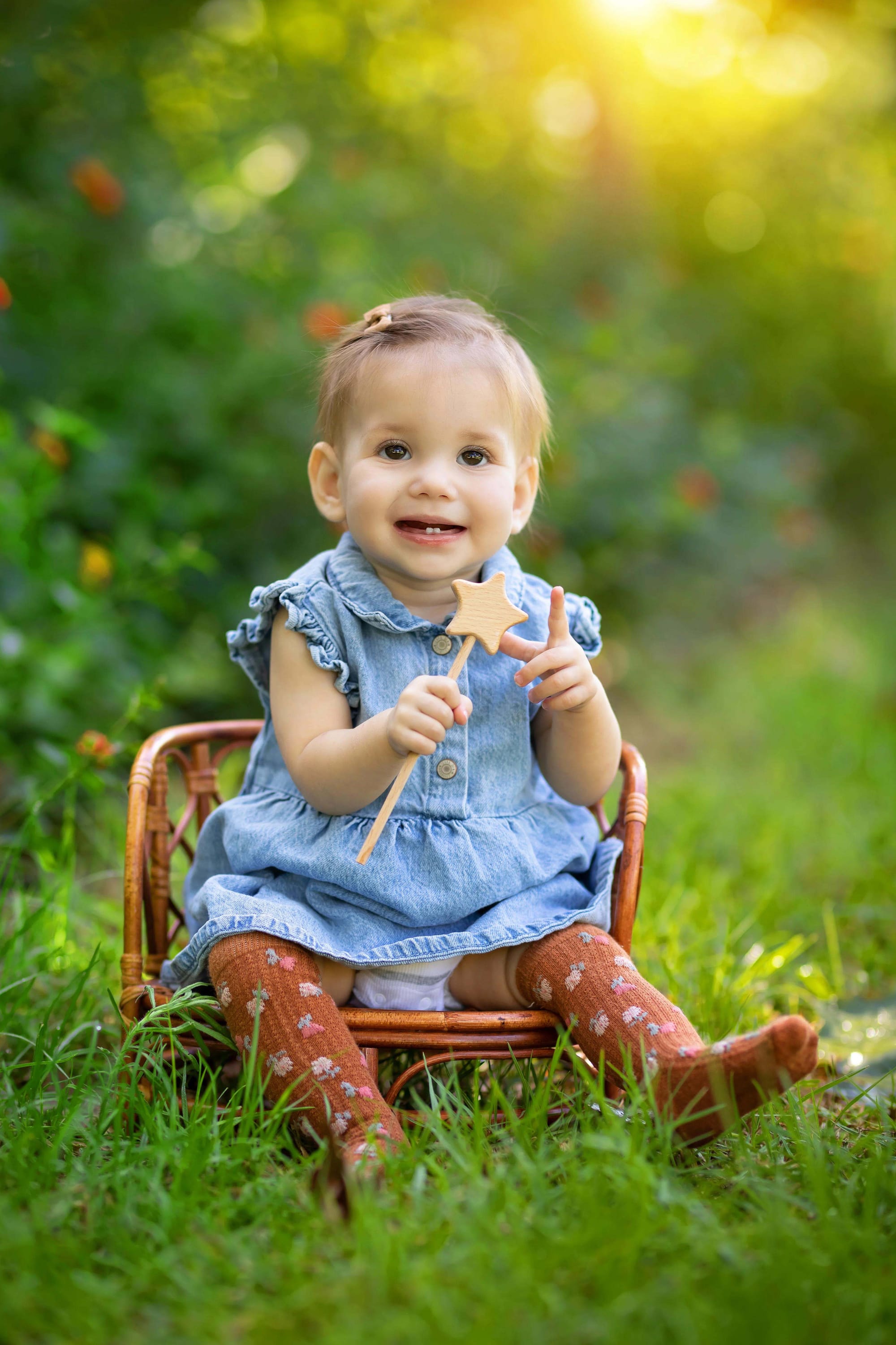 פרטי החבילה