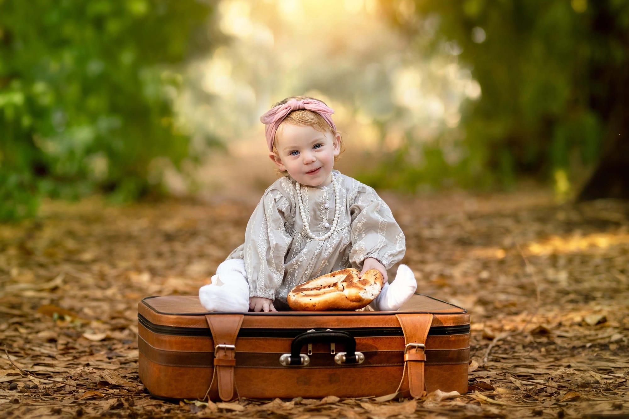 פרטי החבילה