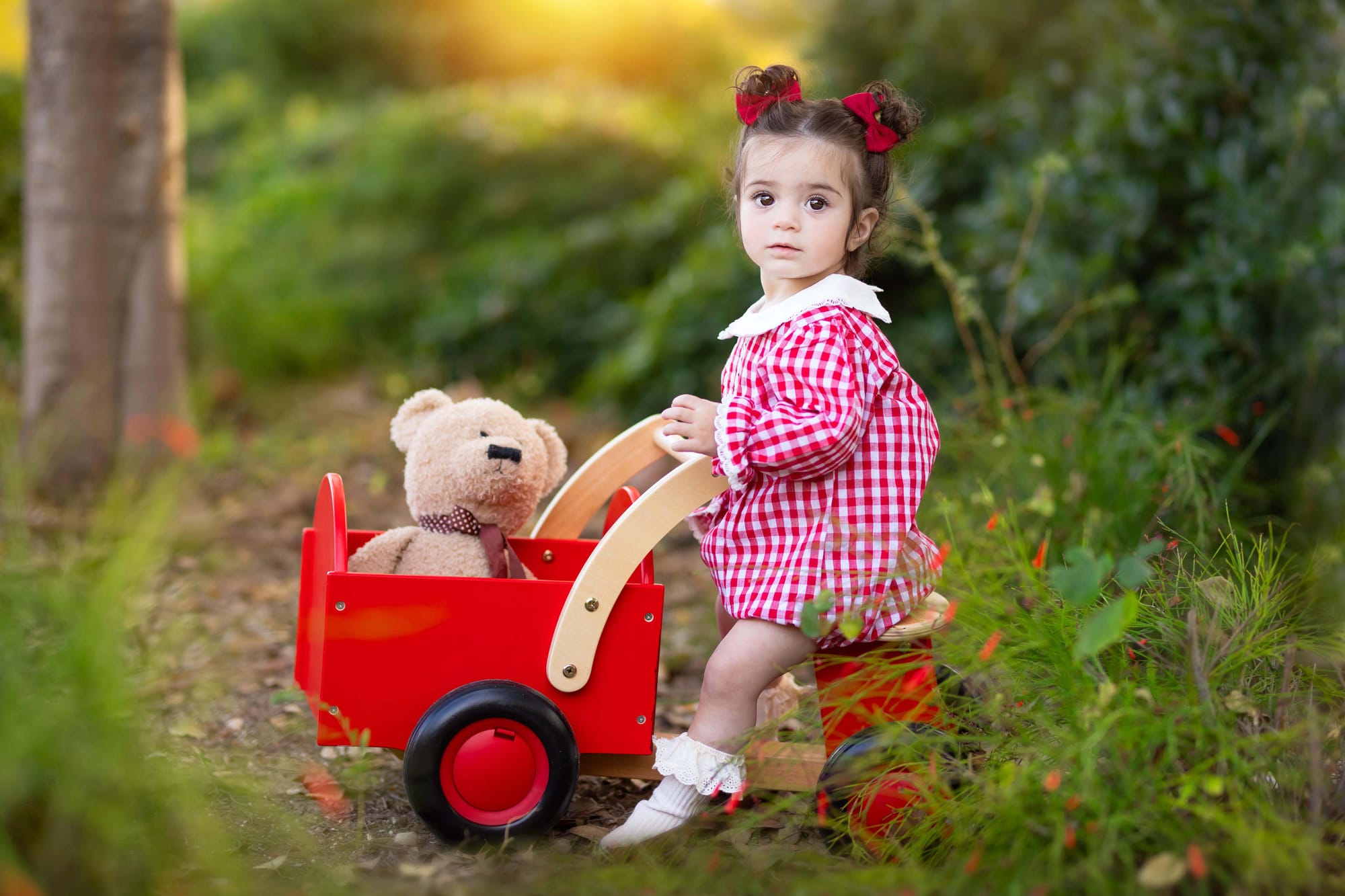 פרטי החבילה