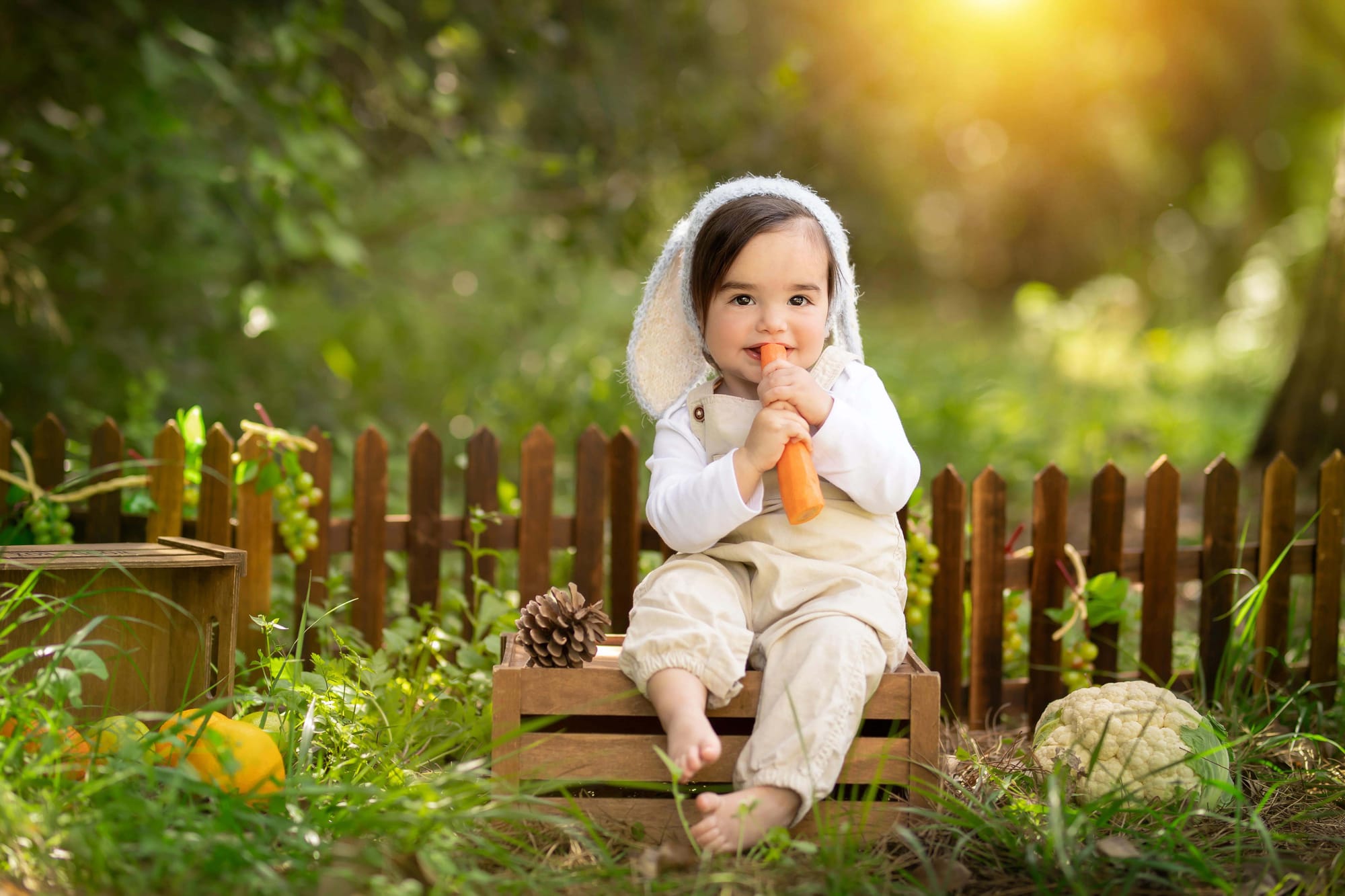 פרטי החבילה