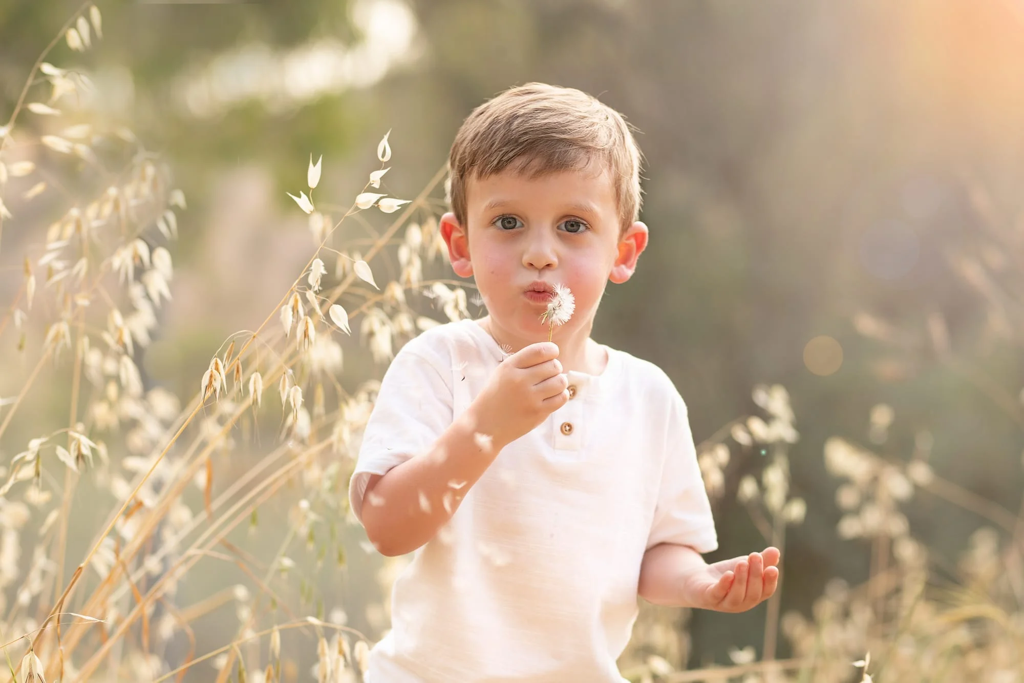 פרטי החבילה
