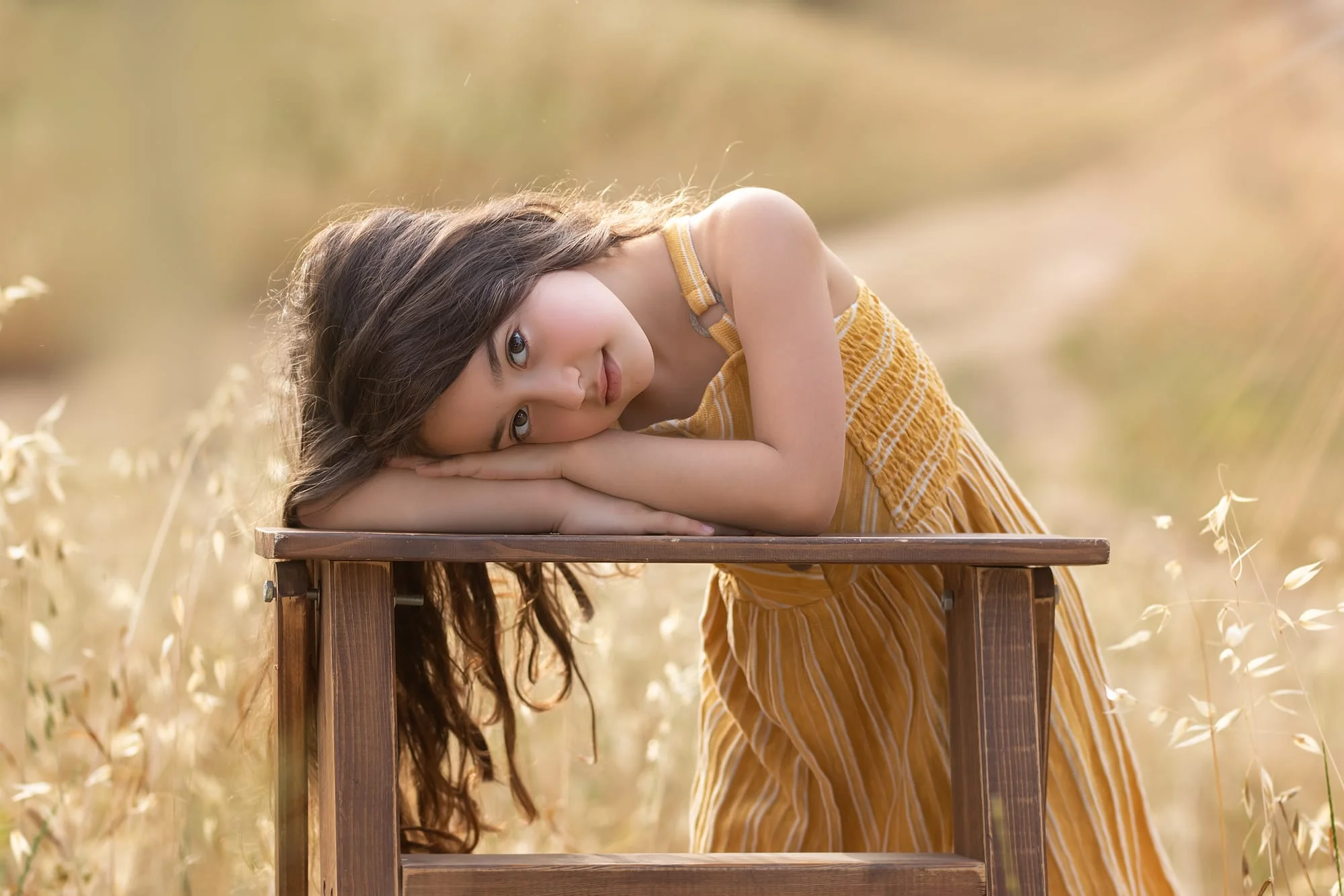 פרטי החבילה