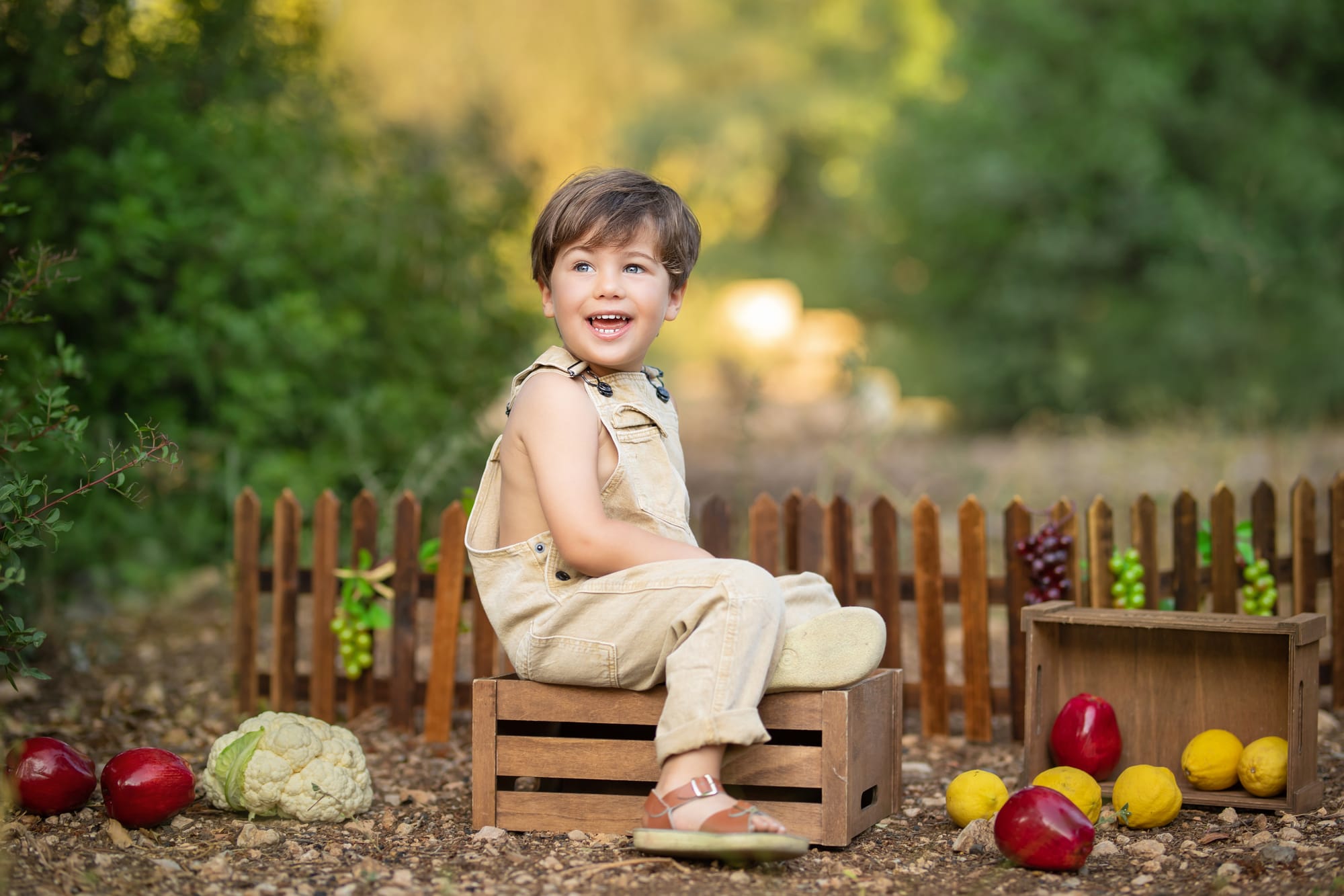 פרטי החבילה