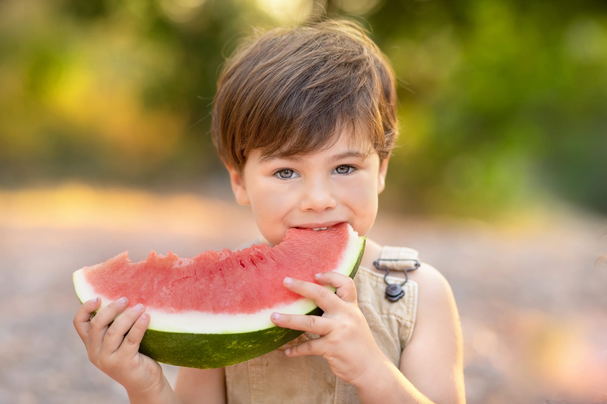 פרטי החבילה