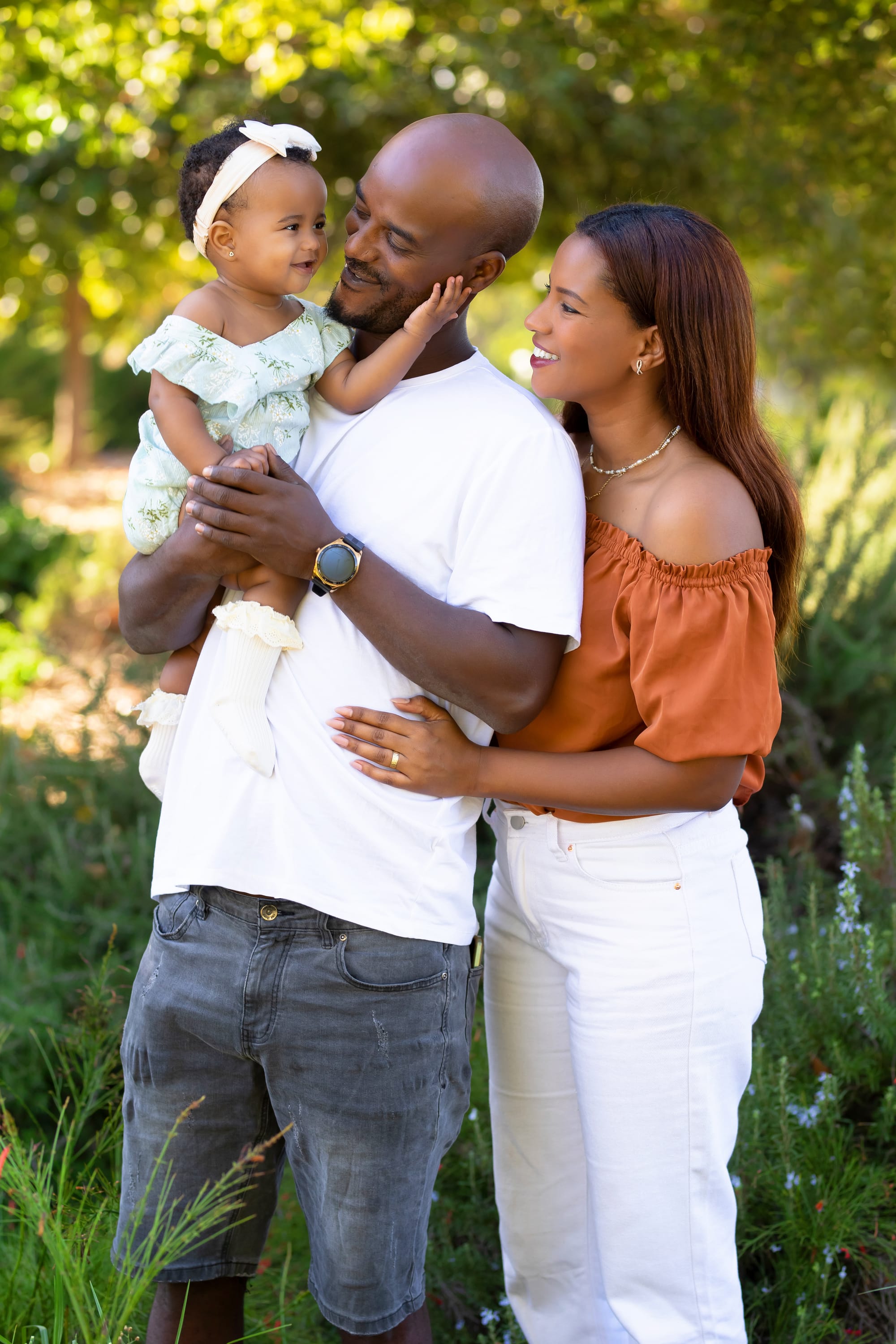 פרטי החבילה