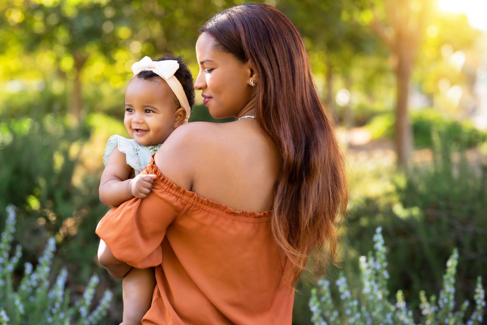 פרטי החבילה