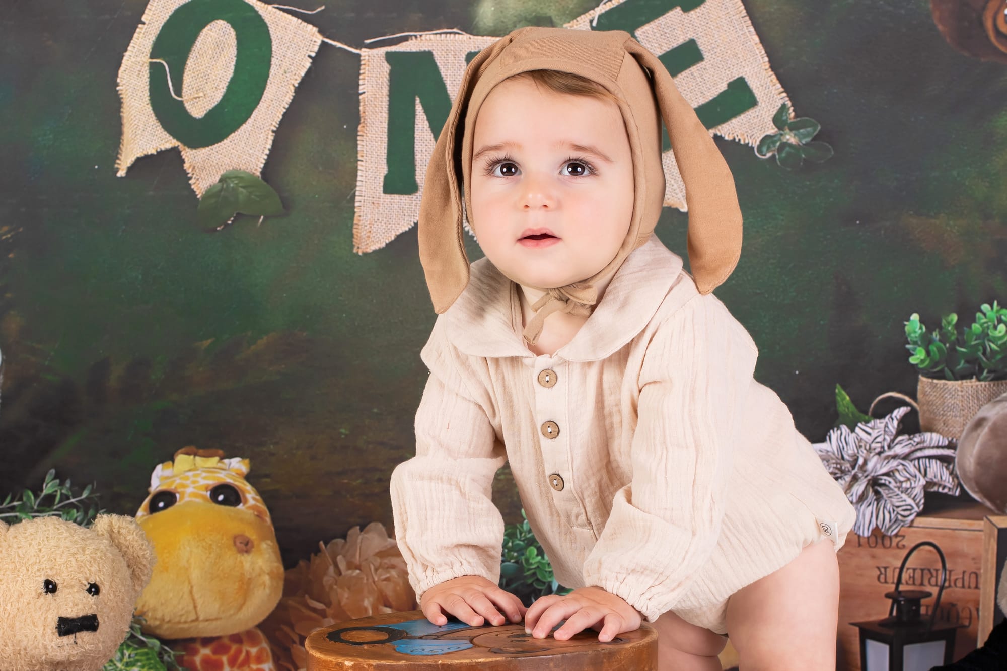 פרטי החבילה