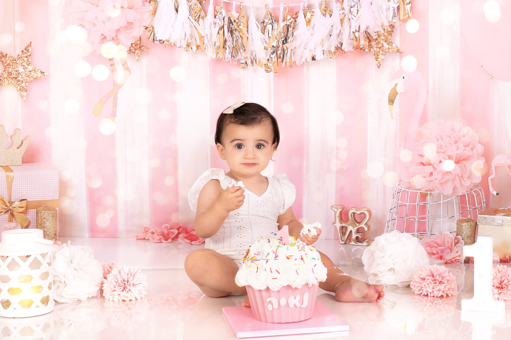 פרטי החבילה