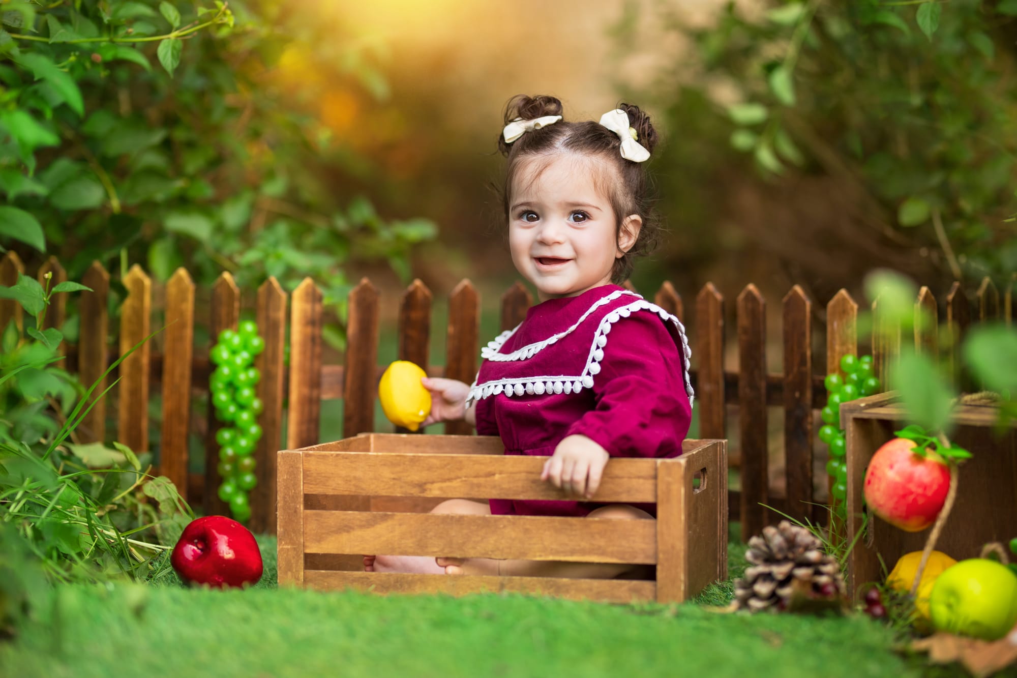 פרטי החבילה