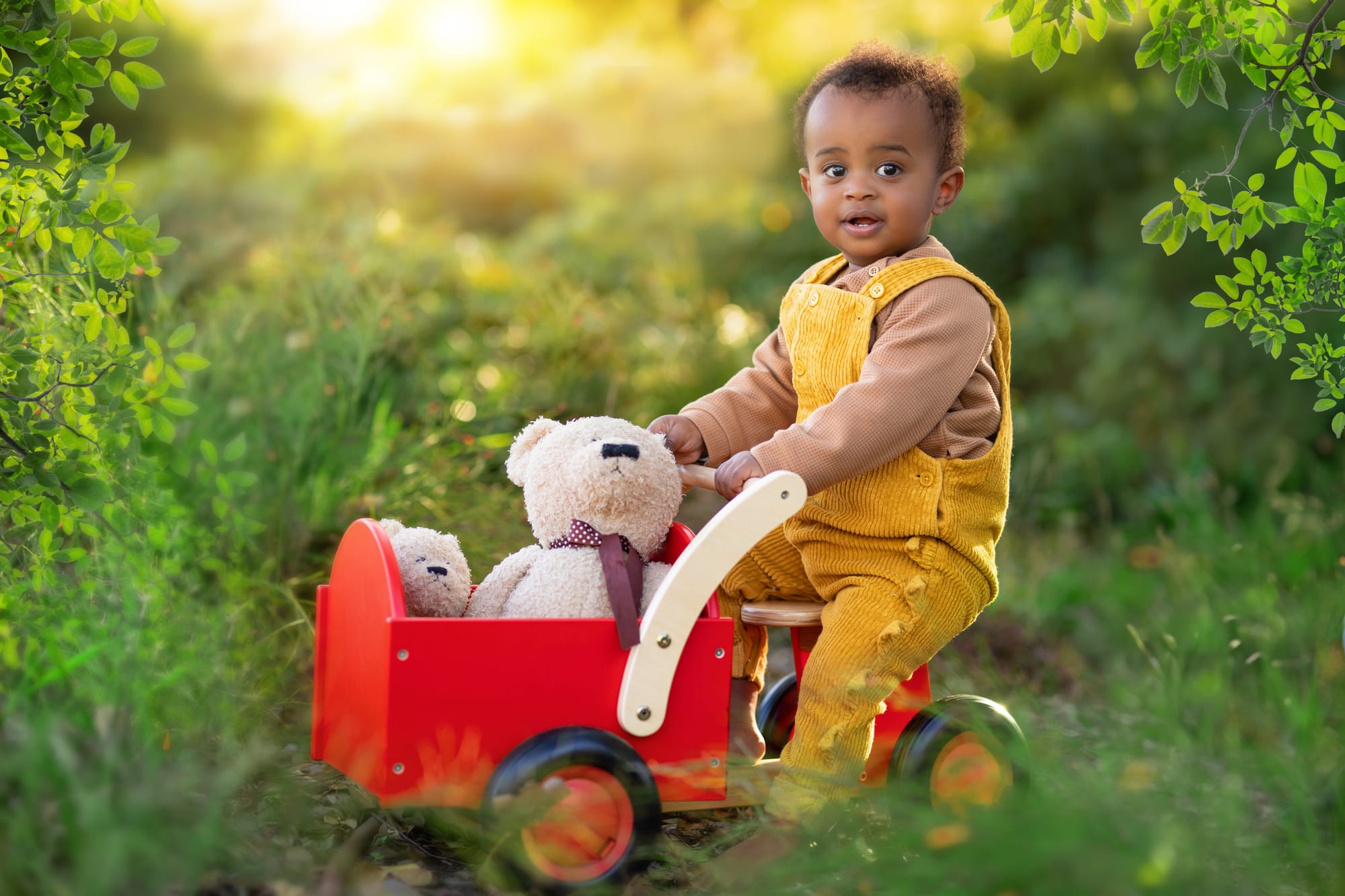 פרטי החבילה