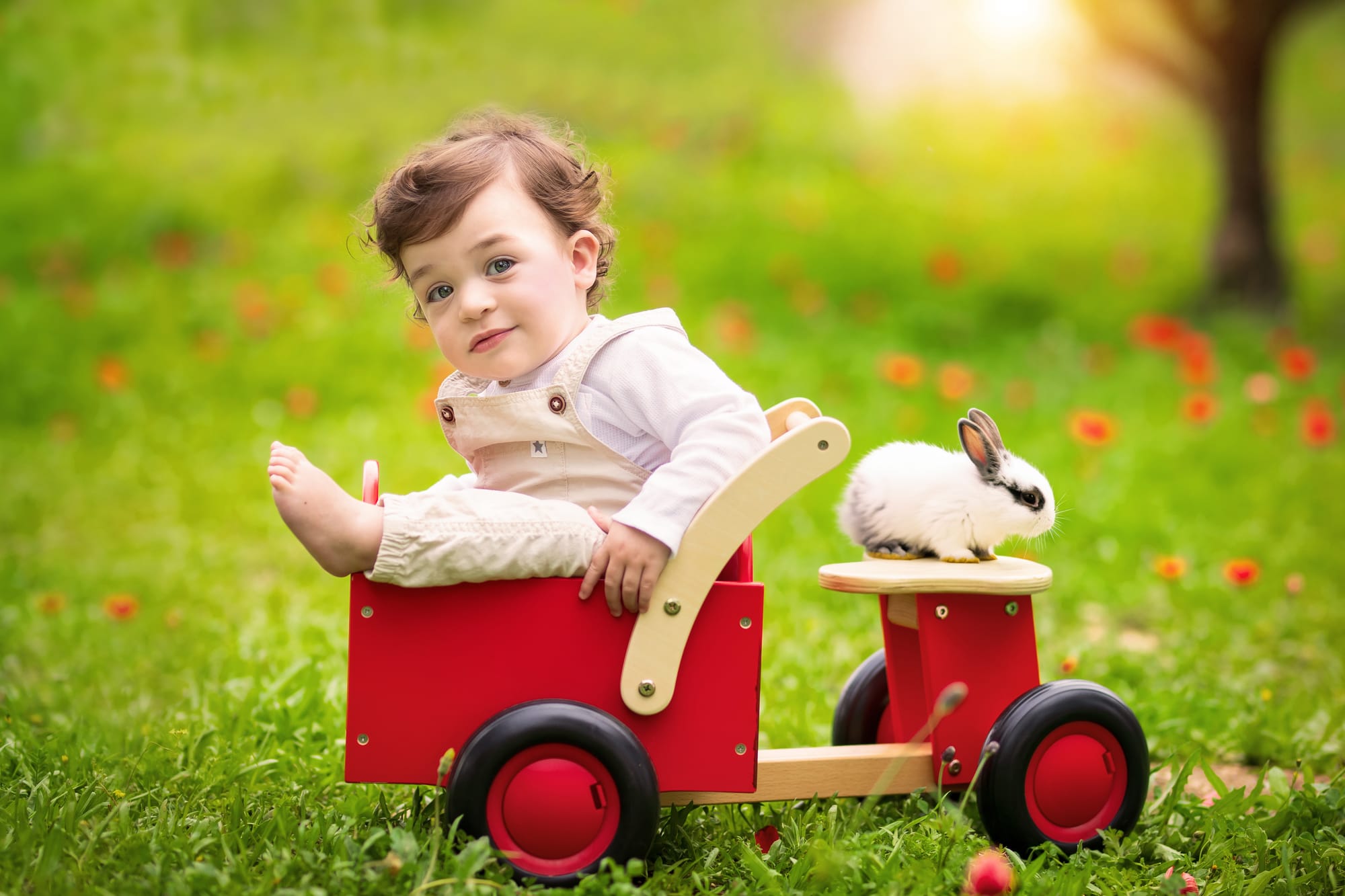 פרטי החבילה