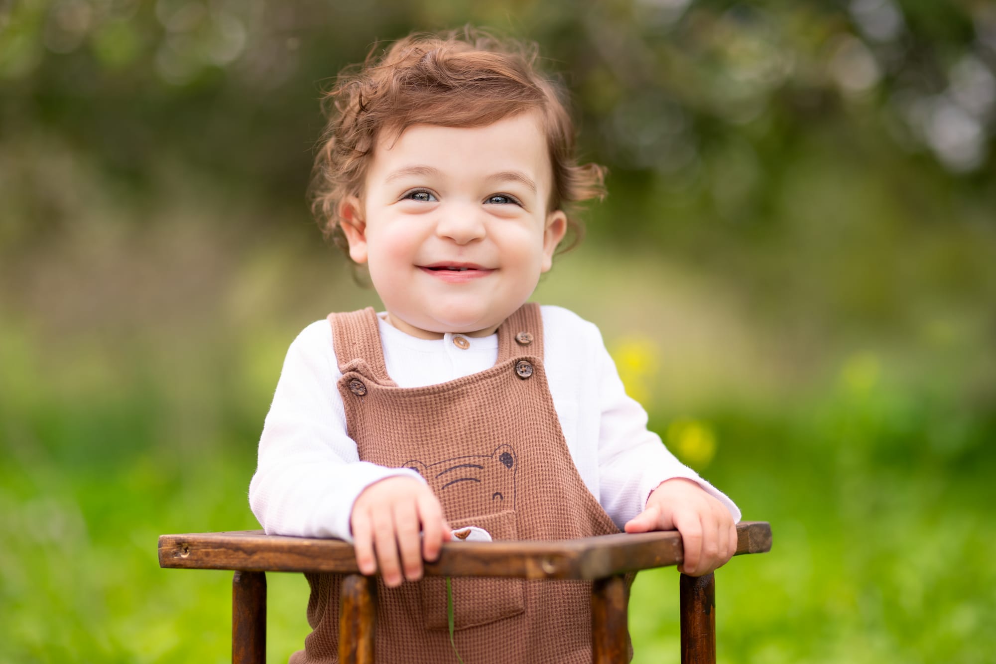 פרטי החבילה