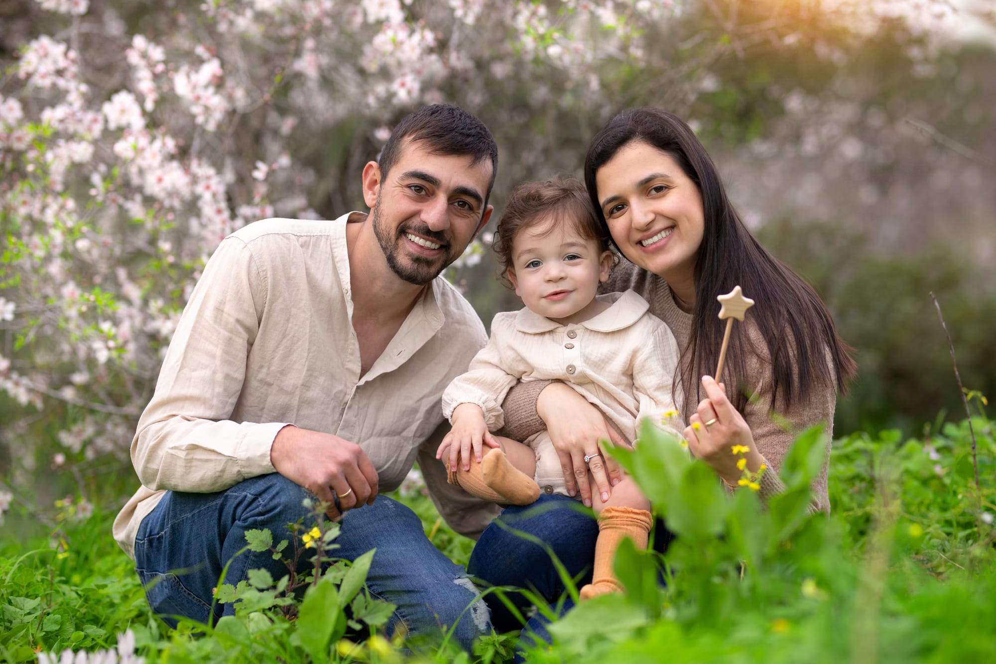 פרטי החבילה
