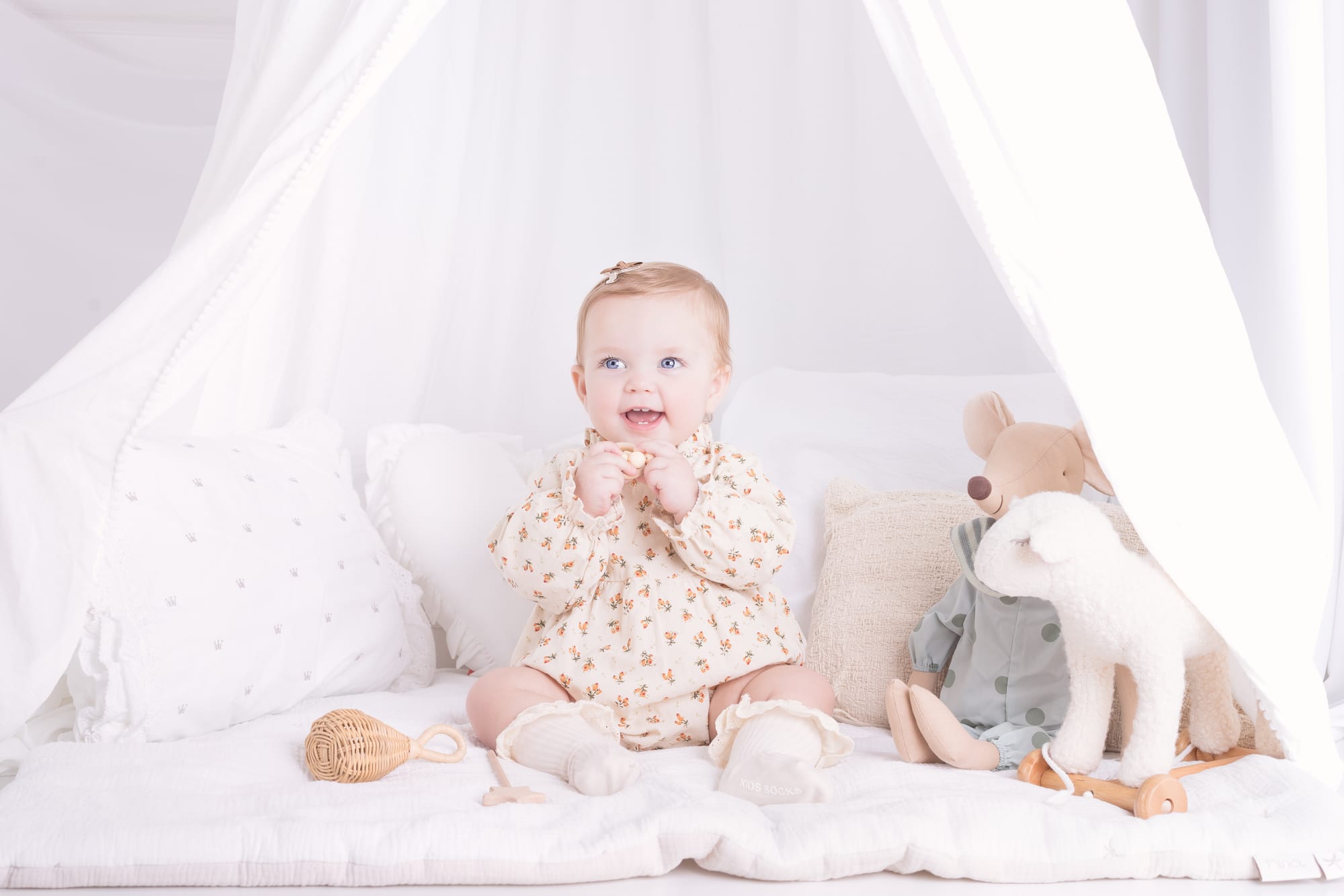 פרטי החבילה