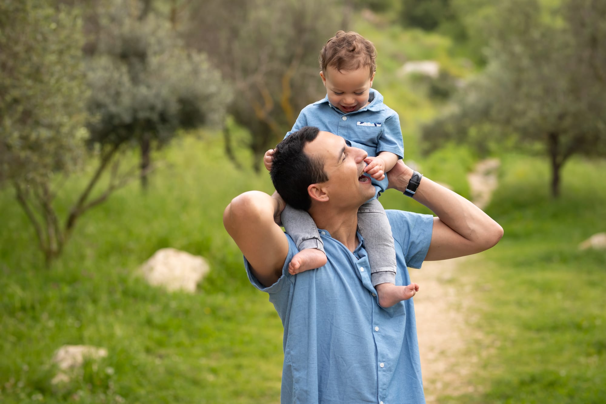 פרטי החבילה