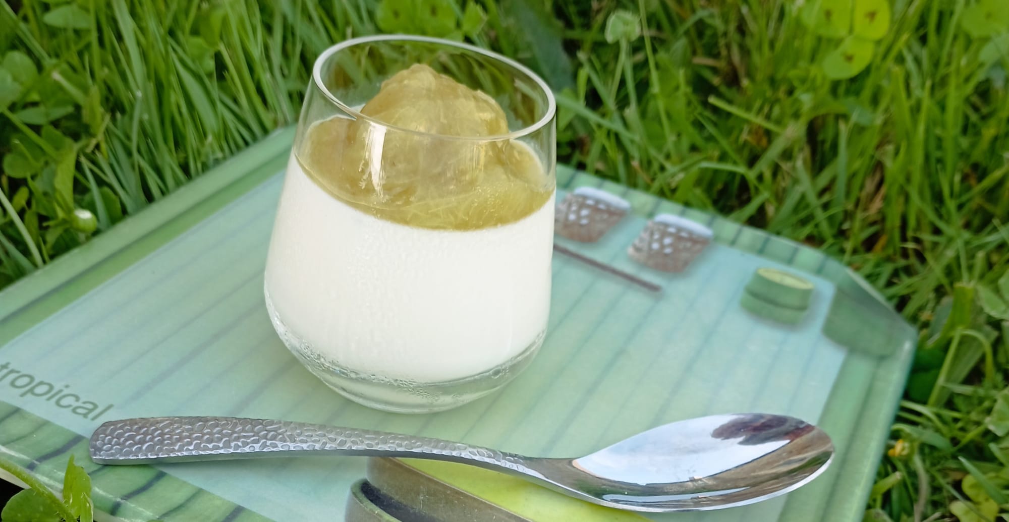 PANNA COTTA au Safran et à la Rhubarbe