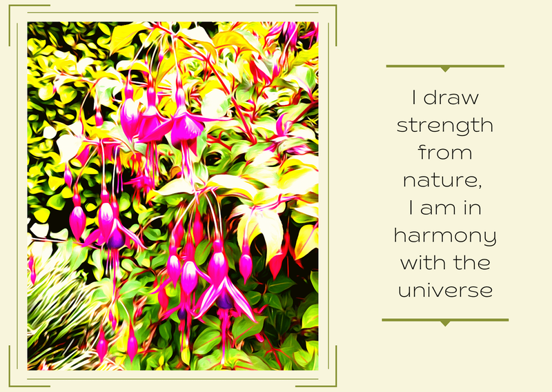 Affirmations: What are they, and how to use them.