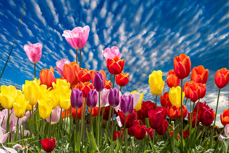 Le 31 mars 2024 (Dimanche de Pâques)