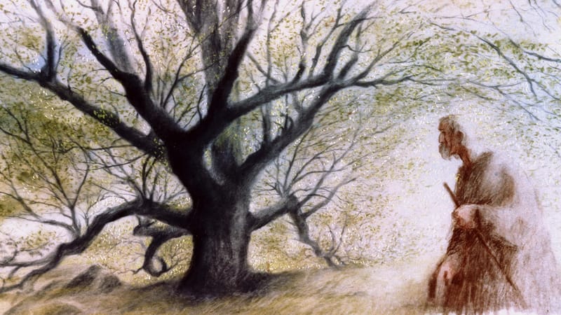 Le 16 juin 2024 (11e dimanche du Temps de l’Église, Année B)