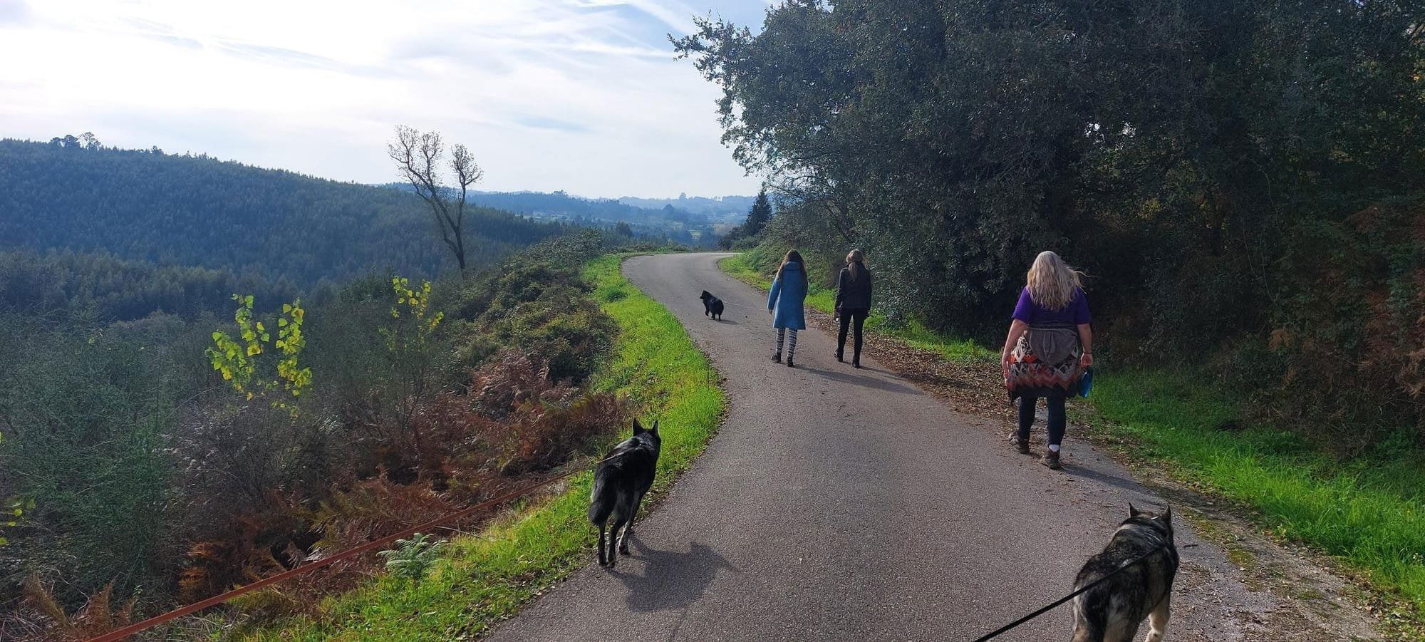 Wandelen, in de directe omgeving