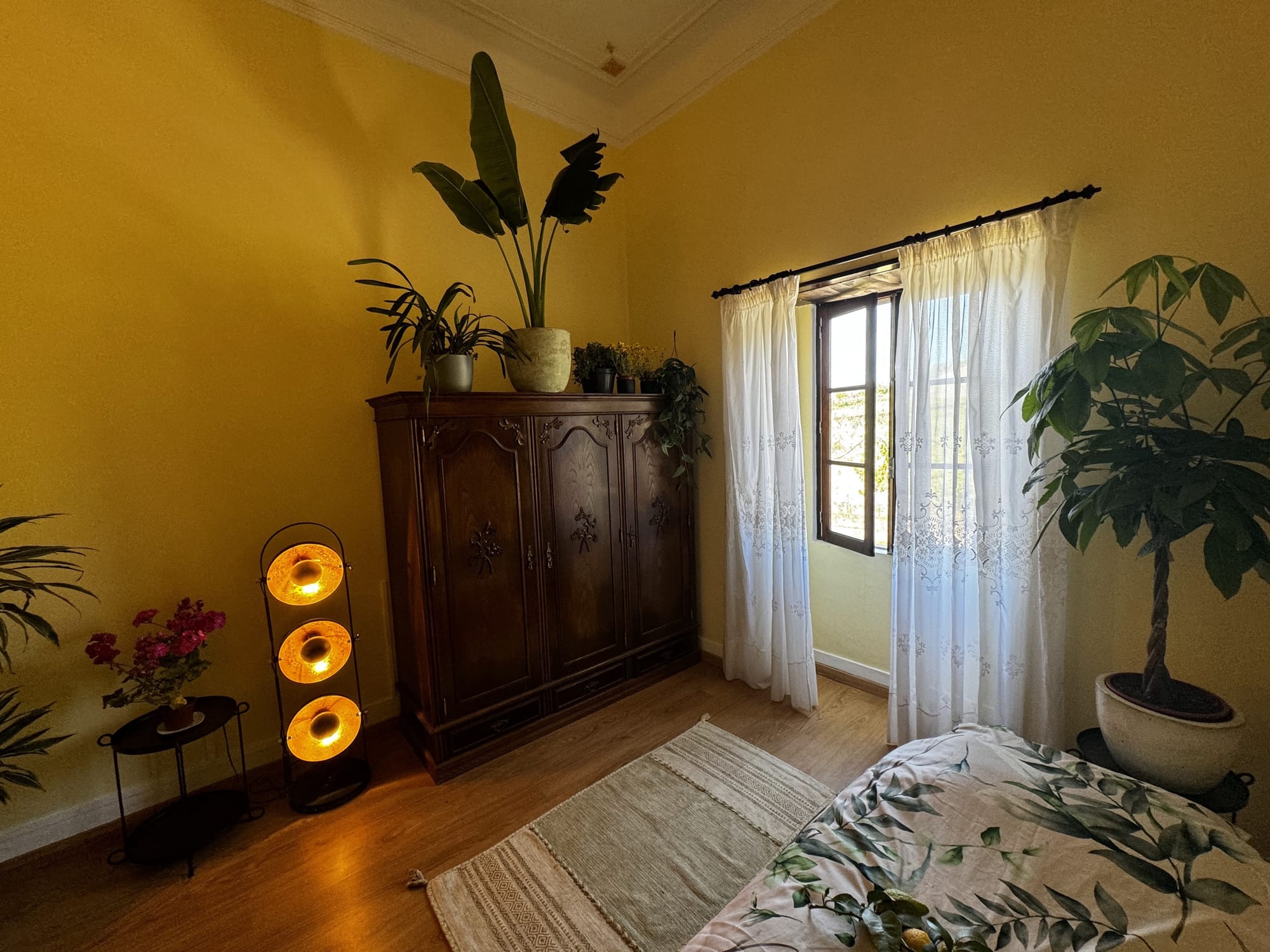 Zon-kamer