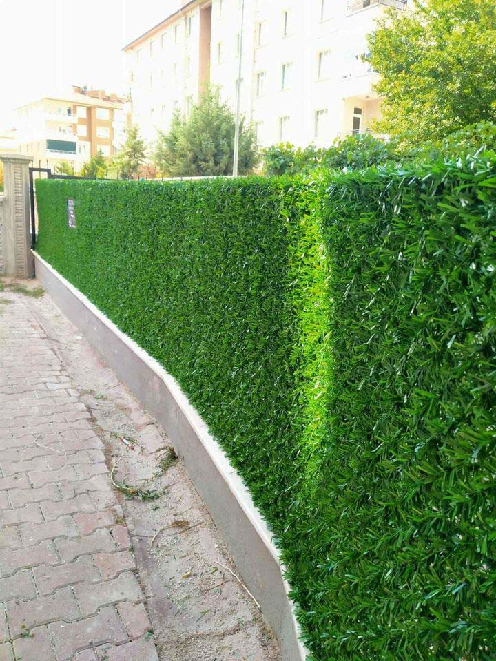 أسوار حدائق green wall