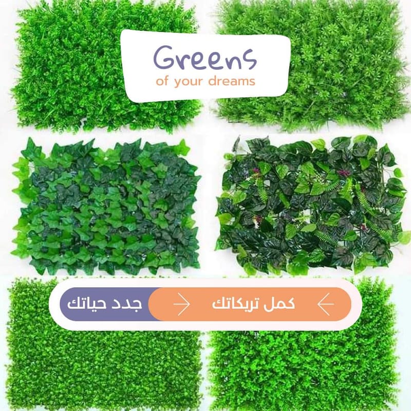 عشب جداري wall grass