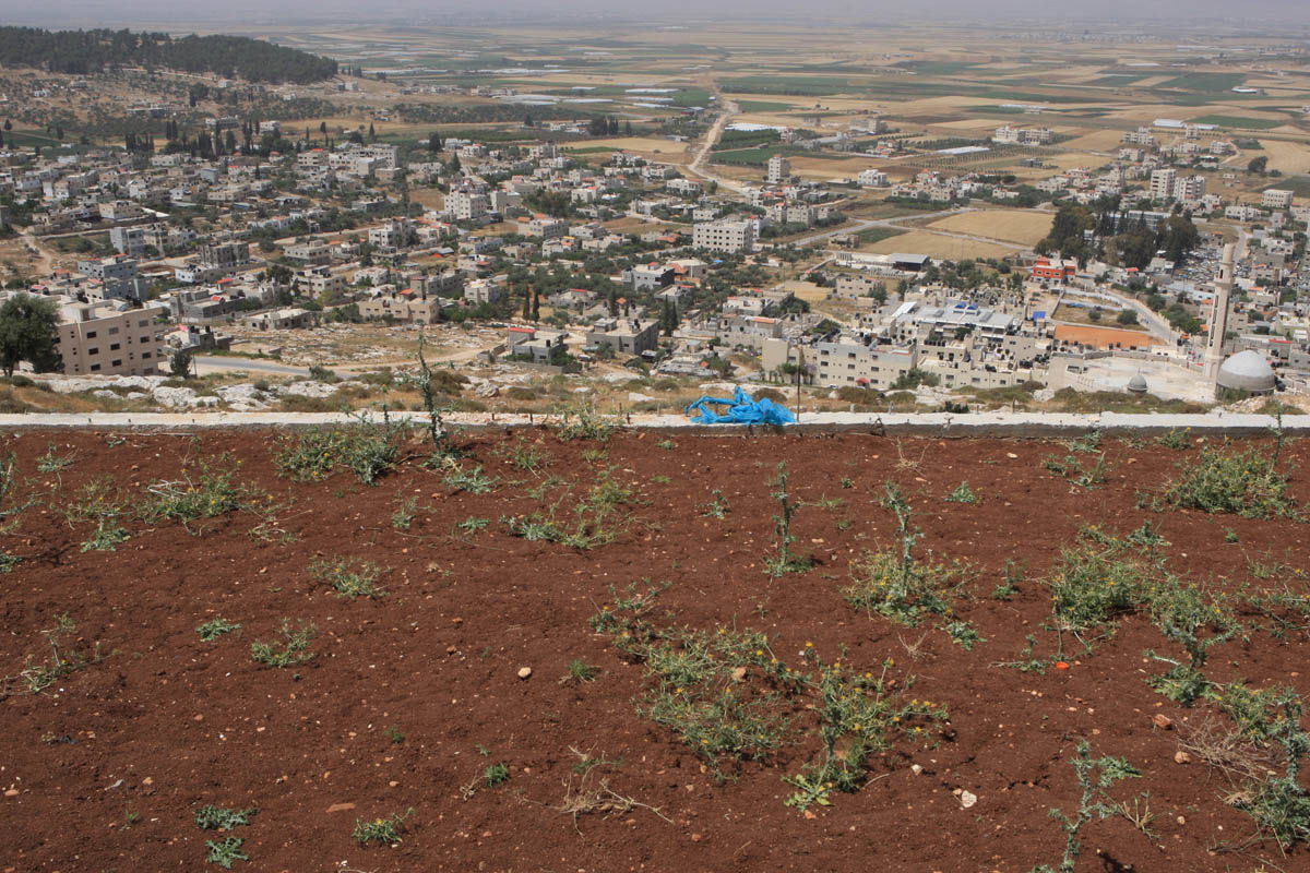 ג'נין, 2009 | Jenin, 2009