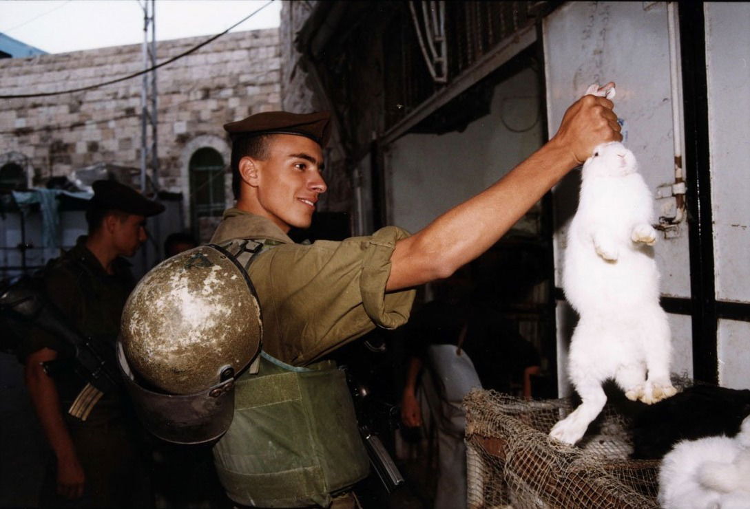 לוחמי חטיבת גולני בחברון | Golani division soldiers in Hebron