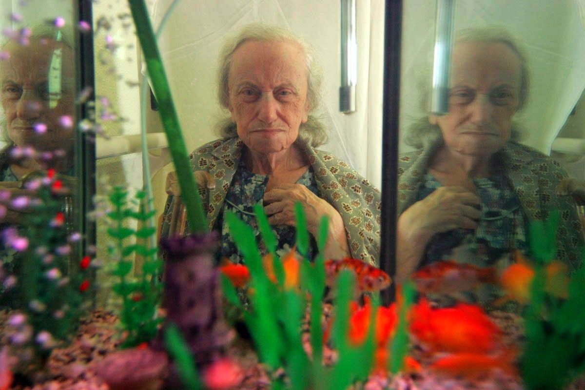 חיה לומזוב נולדה ב – 1912, במקור מאוקראינה. גרה בנצרת עלית וכעת בבית האבות נוף העמק בנצרת עלית.