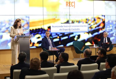 Los contables exigen al Gobierno una regulación específica