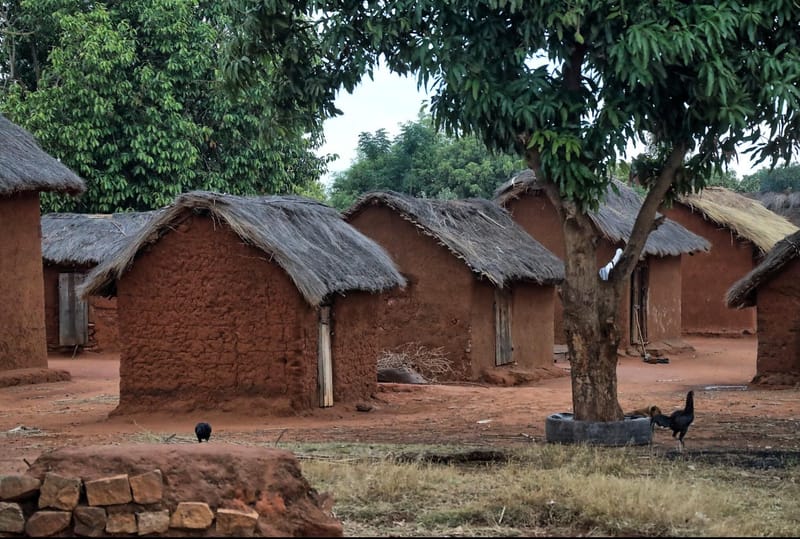 Immersion et Rencontres 