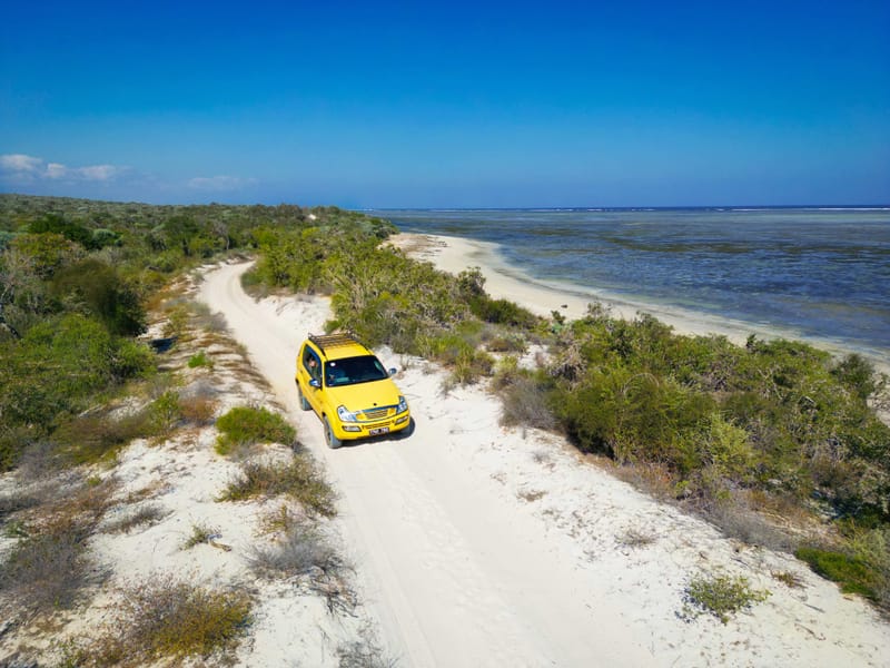 Immersion et Rencontres 