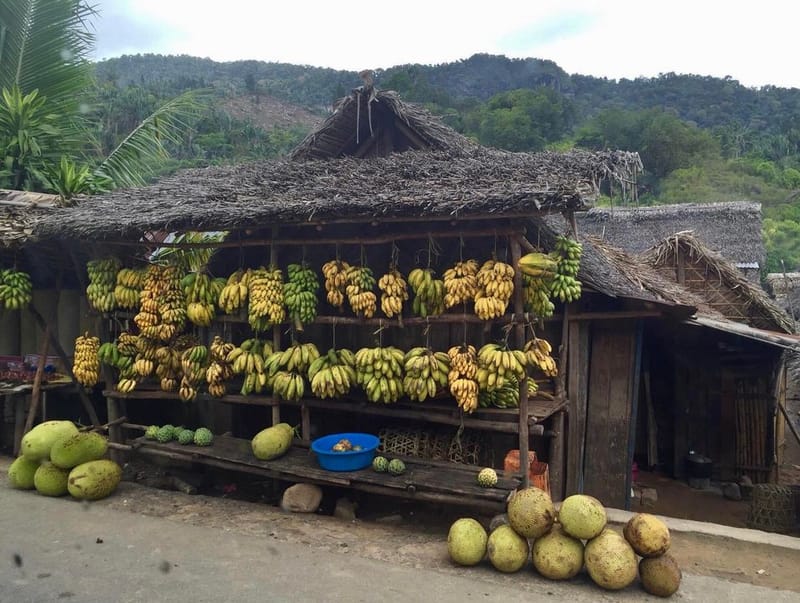 Immersion et Rencontres 