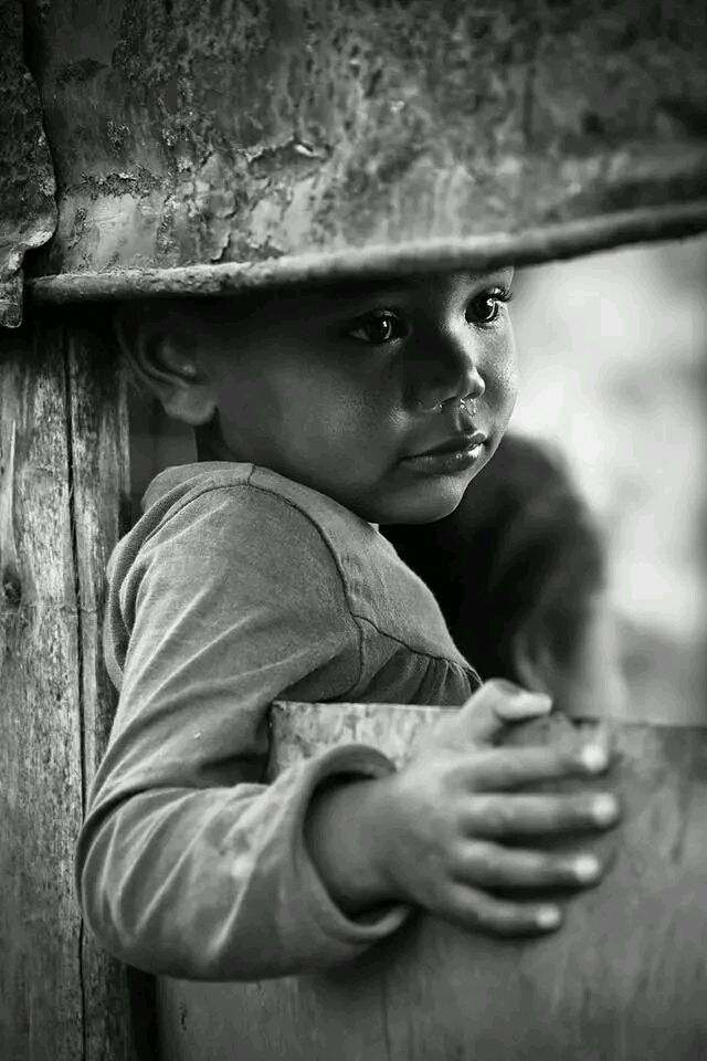 Immersion et Rencontres 