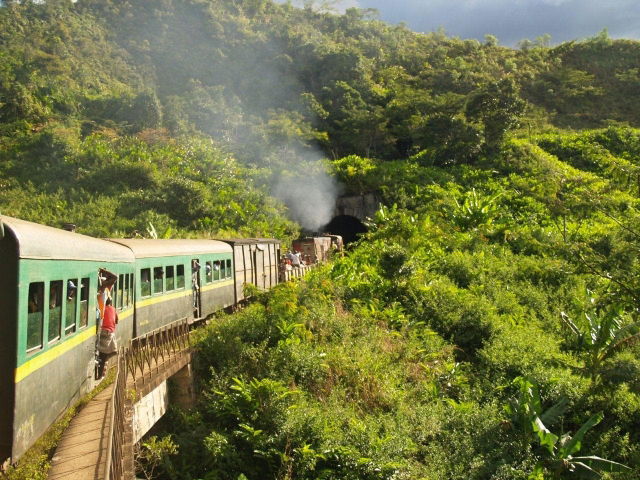 Immersion et Rencontres 