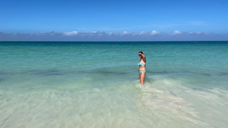 Immersion et Rencontres 