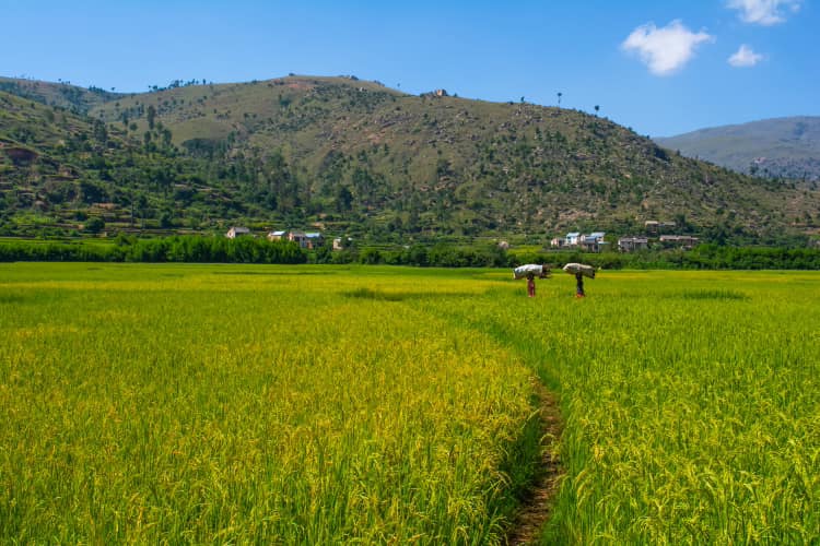 Immersion et Rencontres 