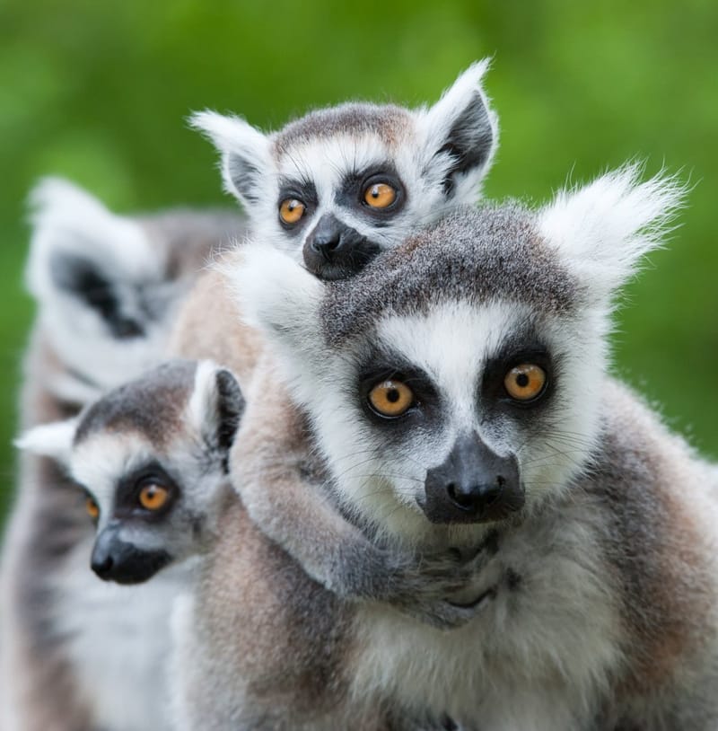 Immersion et Rencontres 