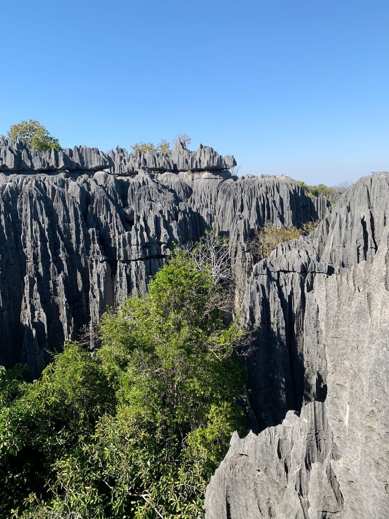 Fleuve Tsiribihina - Tsingy de Bemaraha - Baobabs - Plage