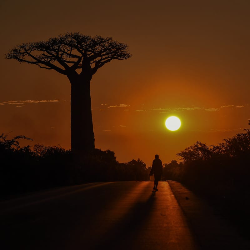 Fleuve Tsiribihina - Tsingy de Bemaraha - Baobabs - Plage