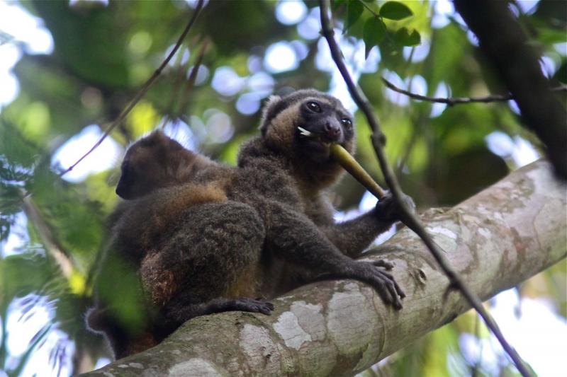 Immersion et Rencontres 