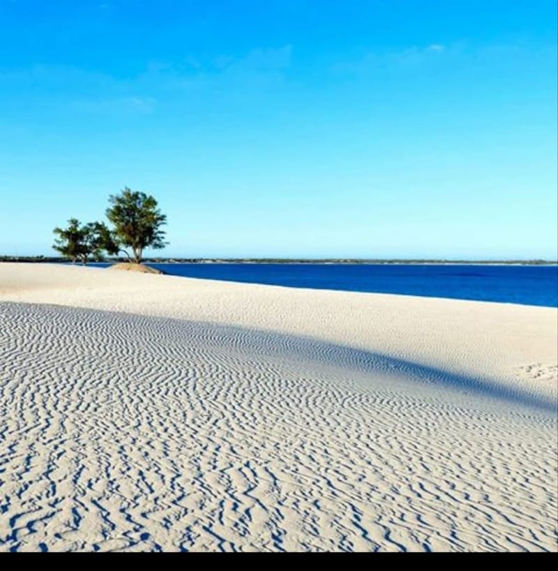 Découvertes en terre inconnue