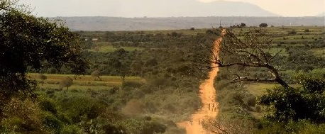 Découvertes en terre inconnue