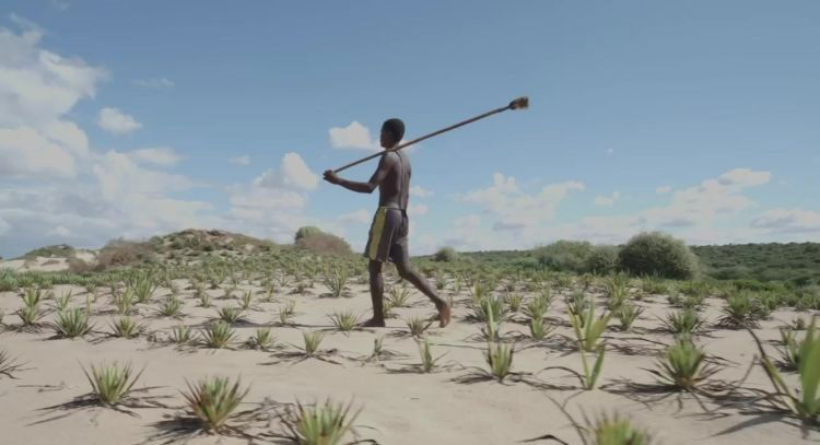 Découvertes en terre inconnue