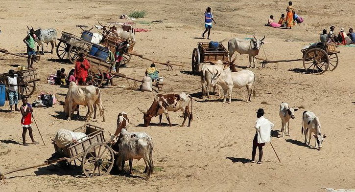 Découvertes en terre inconnue