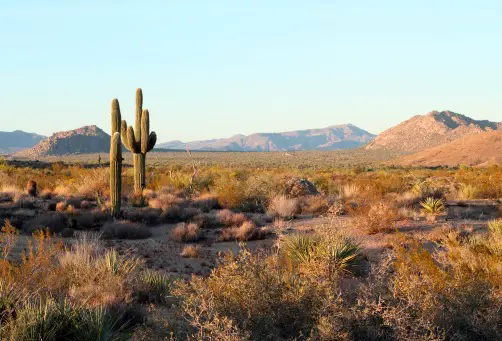 Découvertes en terre inconnue